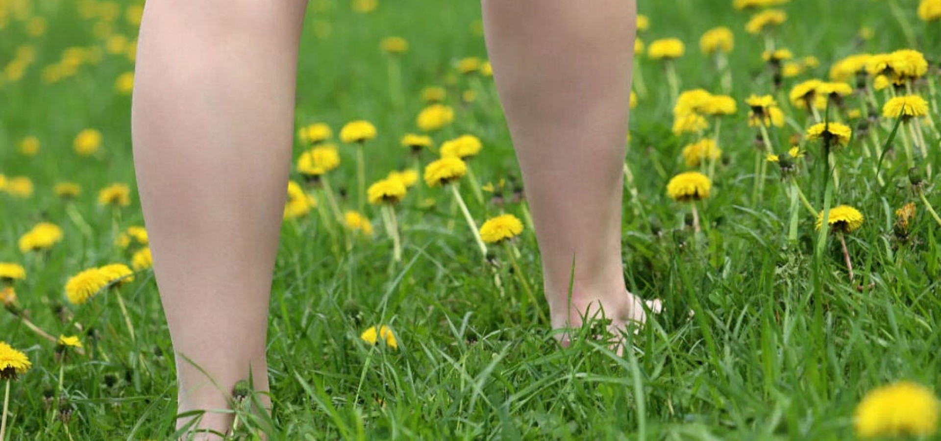 Naturist village condemned by Bordeaux court for having too many people Source: Connexion France, February 26, 2025